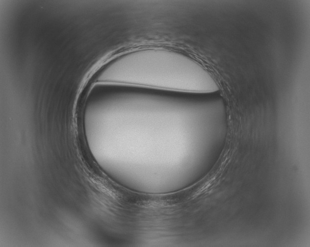 X0000054430246200507290959
