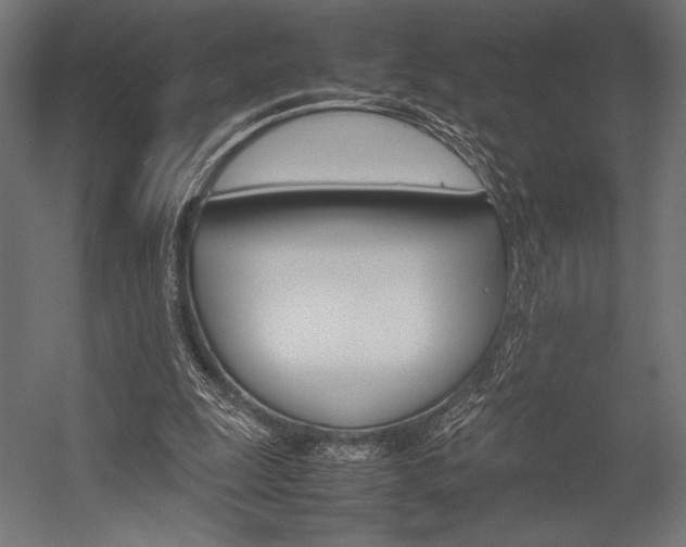 X0000054430247200507290959