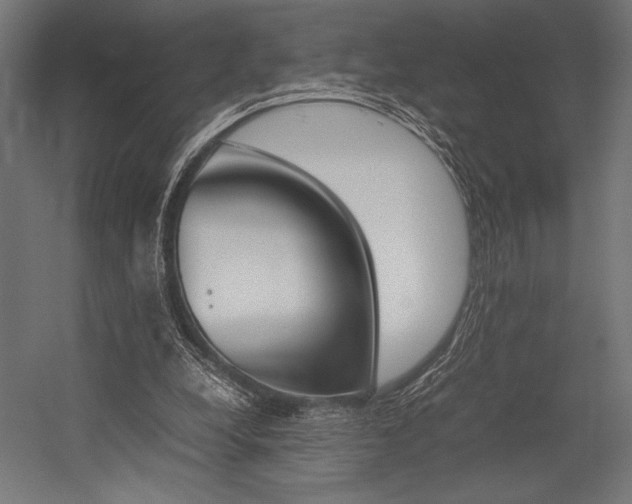 X0000054430248200507290959