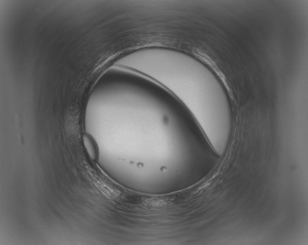X0000054430249200507290959