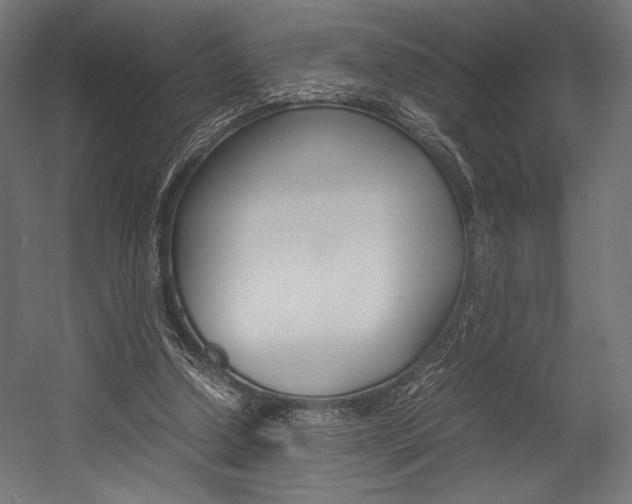 X0000054430250200507290959