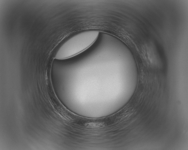 X0000054430251200507290959