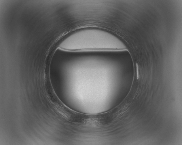 X0000054430252200507290959