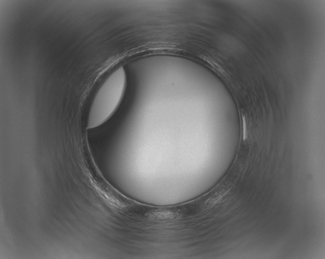 X0000054430253200507290959