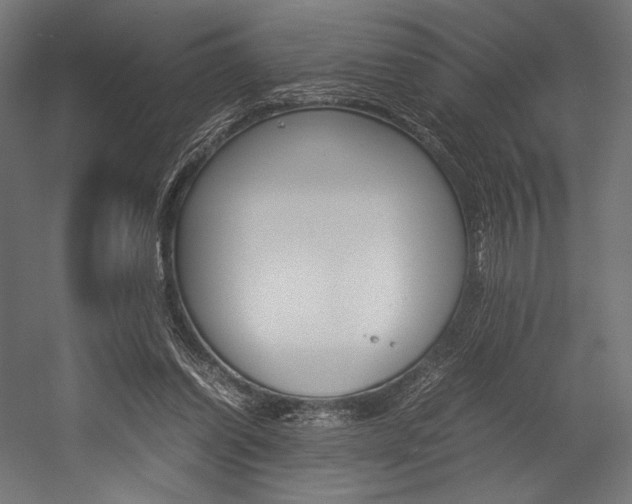 X0000054430254200507290959