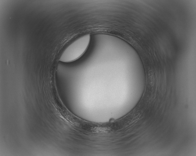 X0000054430255200507290959