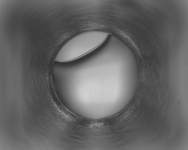 X0000054430257200507290959