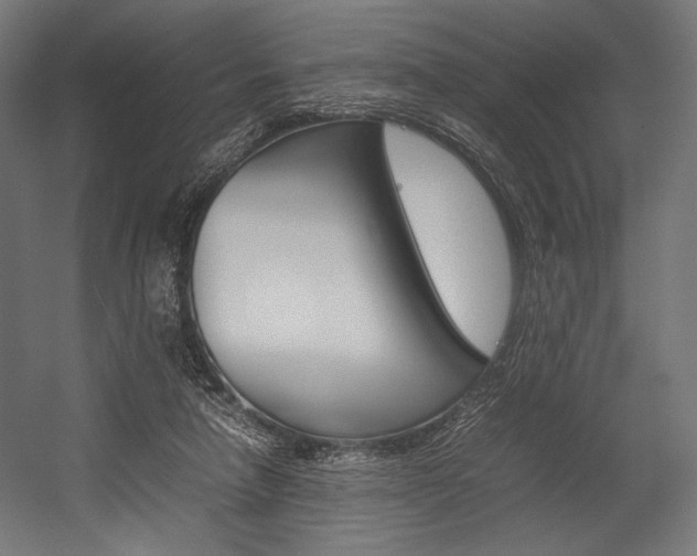 X0000054430258200507290959