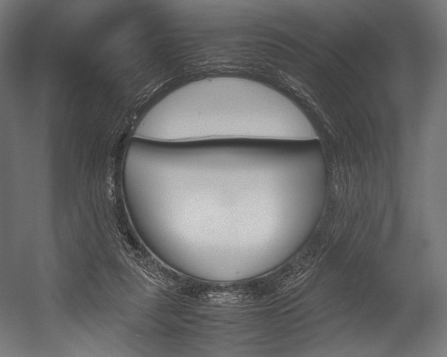 X0000054430259200507290959