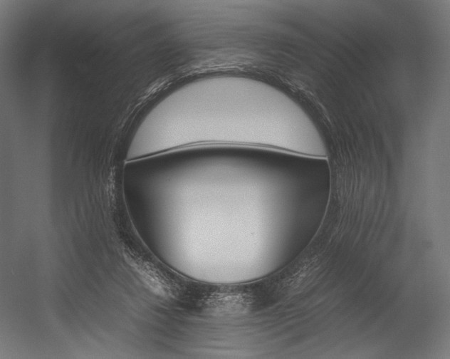 X0000054430260200507290959