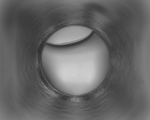 X0000054430261200507290959