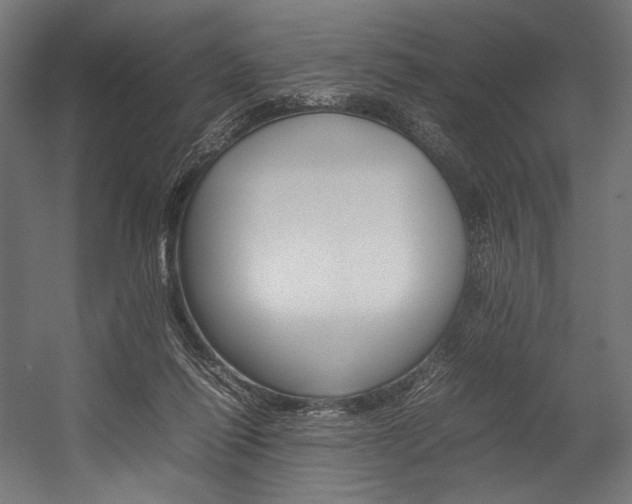 X0000054430262200507290959