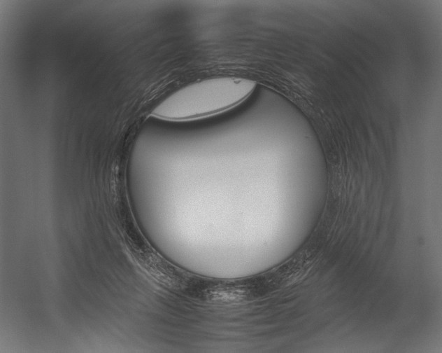 X0000054430263200507290959