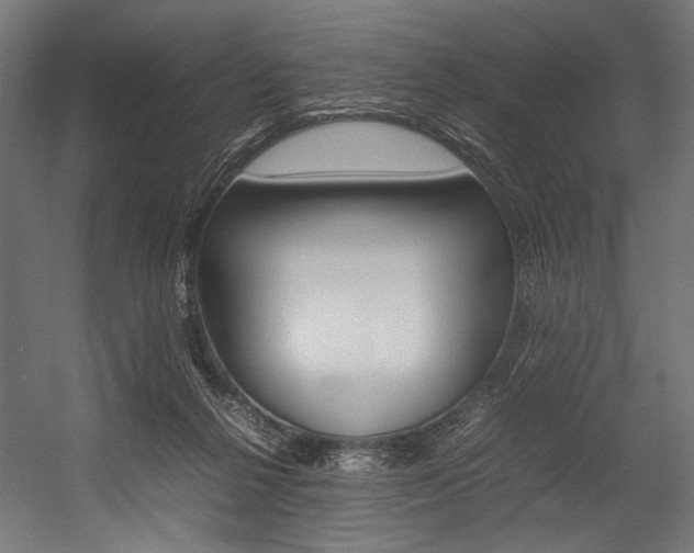 X0000054430264200507290959