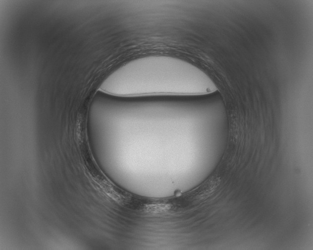 X0000054430266200507290959