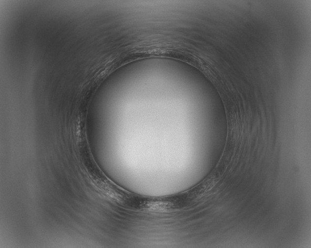 X0000054430268200507290959