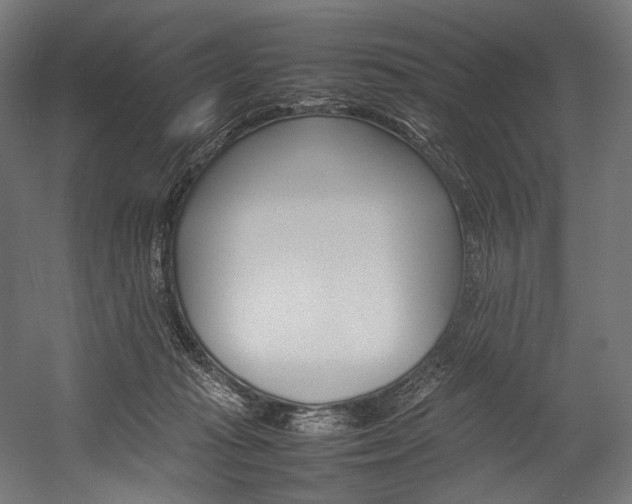 X0000054430269200507290959
