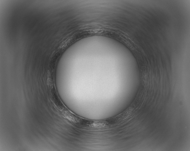 X0000054430270200507291000