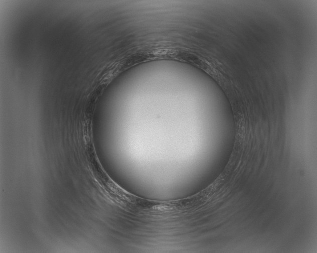 X0000054430272200507291000