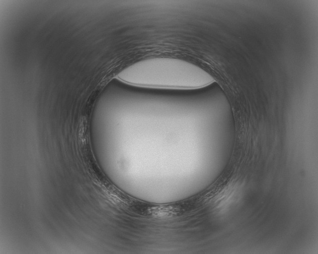 X0000054430273200507291000