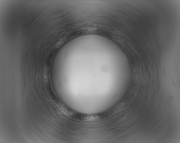 X0000054430274200507291000