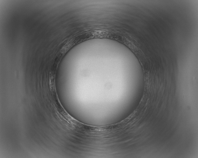 X0000054430276200507291000