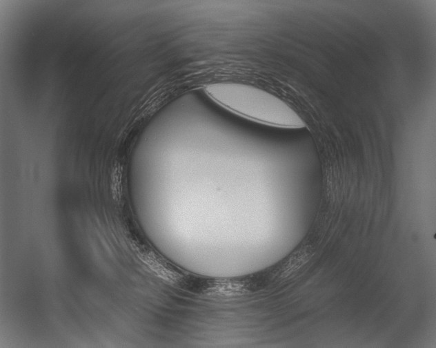 X0000054430278200507291000