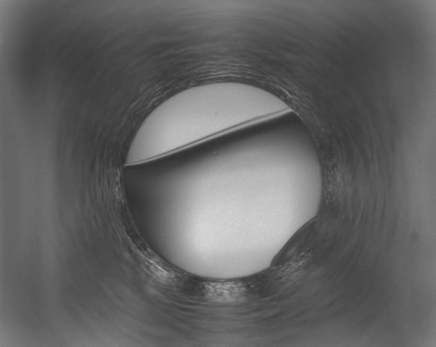 X0000054430281200507291000