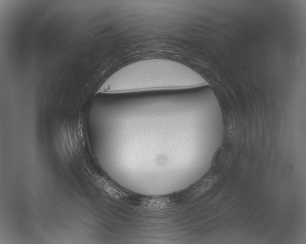 X0000054430282200507291000