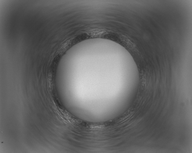 X0000054430283200507291000
