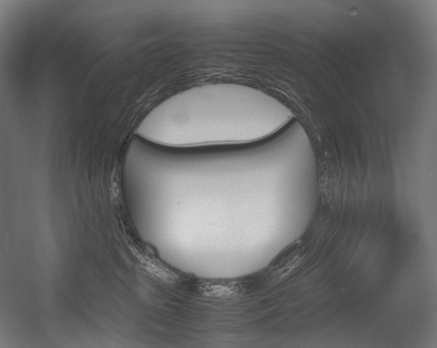 X0000054430285200507291000