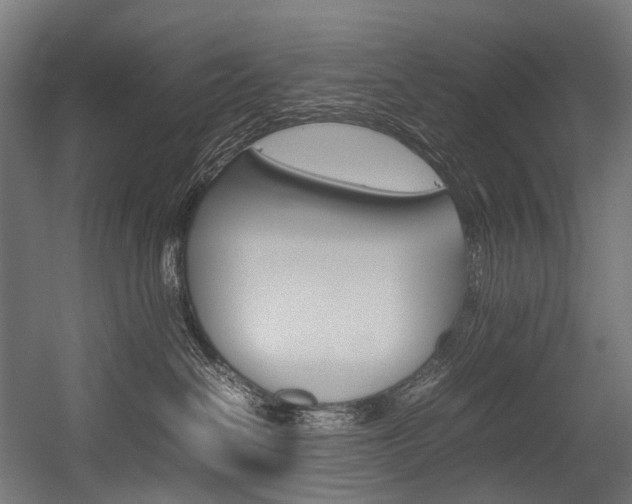 X0000054430286200507291000