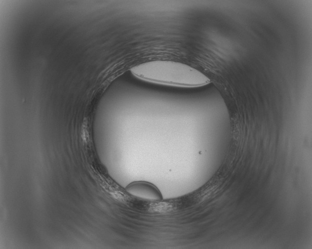 X0000054430287200507291000