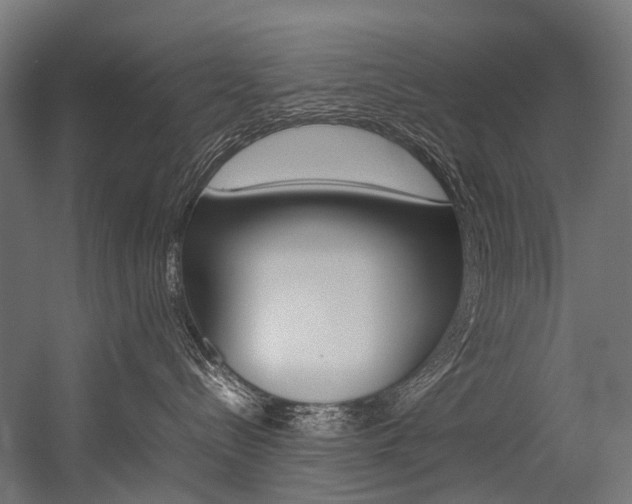 X0000054430288200507291000