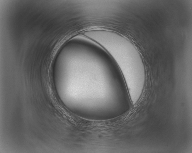 X0000054430289200507290959