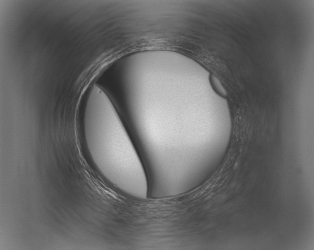 X0000054430290200507290959