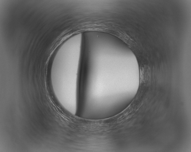 X0000054430291200507290959