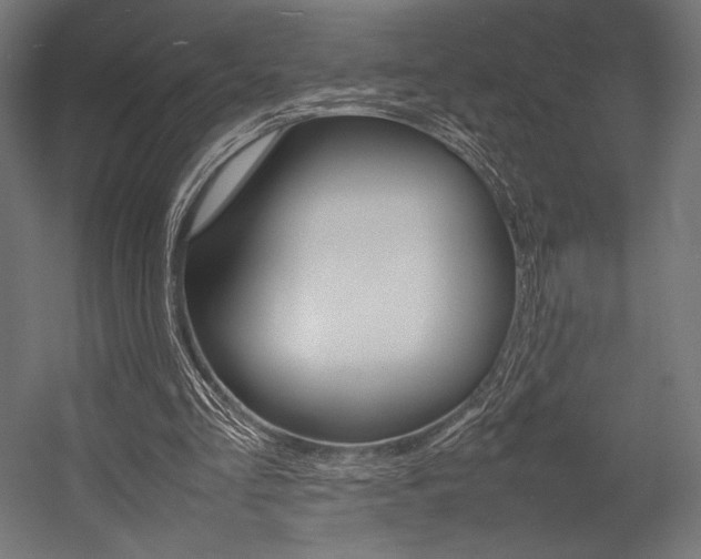 X0000054430293200507290959