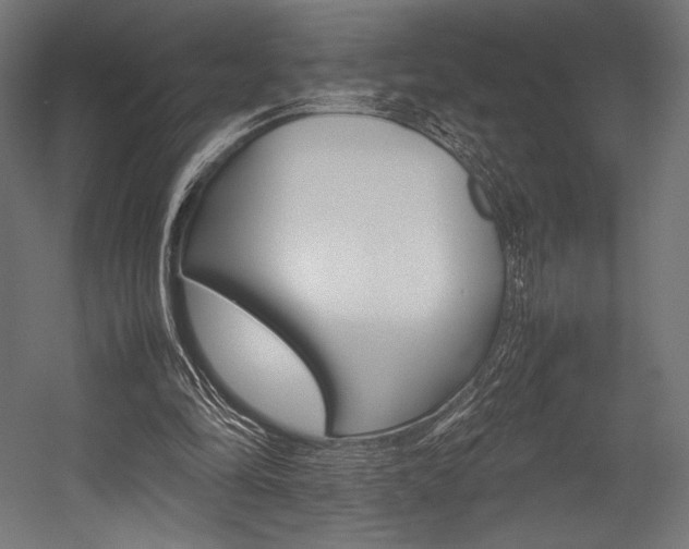 X0000054430294200507290959