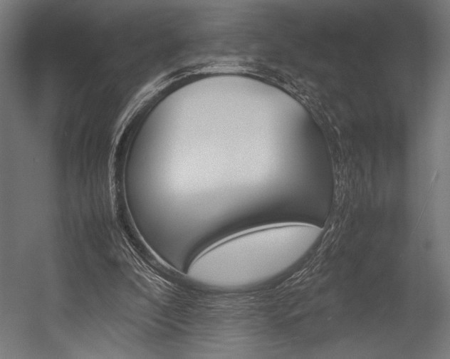 X0000054430296200507290959