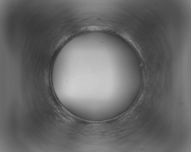 X0000054430297200507290959