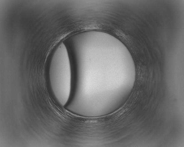 X0000054430298200507290959