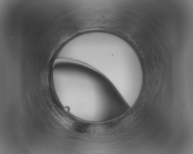 X0000054430299200507290959