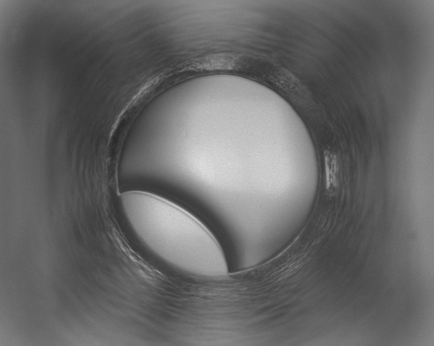 X0000054430300200507290959