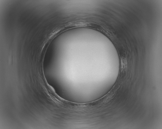 X0000054430301200507290959