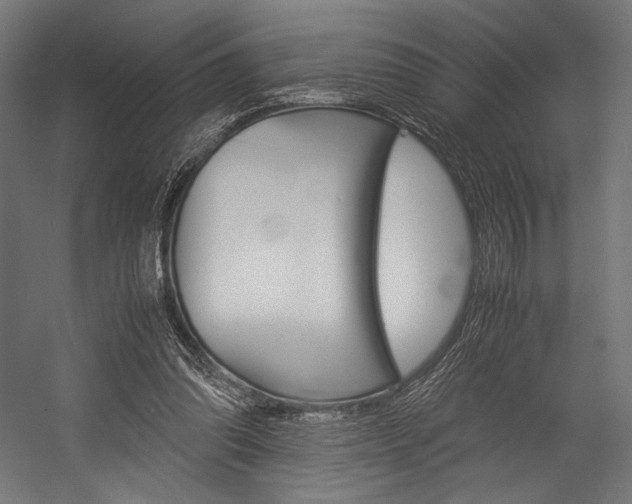 X0000054430302200507290959