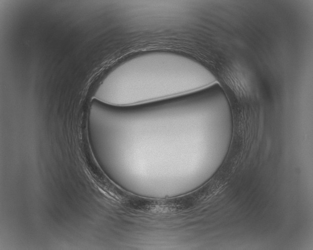 X0000054430303200507290959