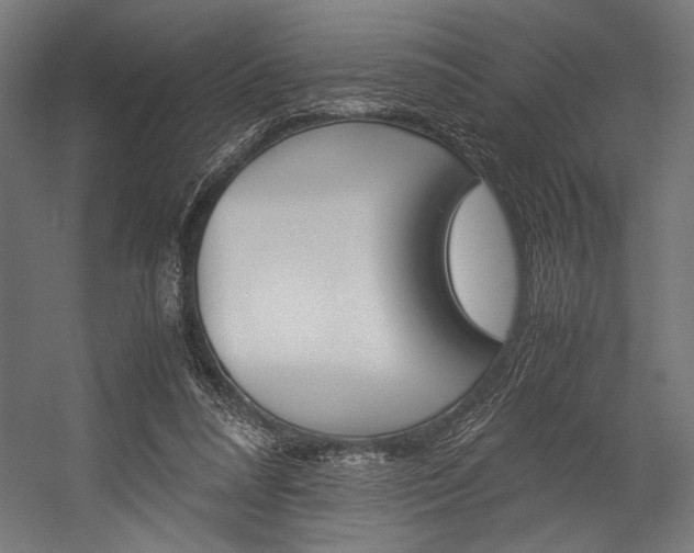 X0000054430304200507290959