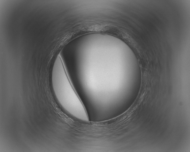 X0000054430305200507290959
