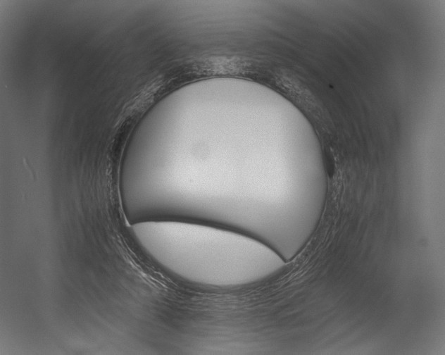 X0000054430306200507290959
